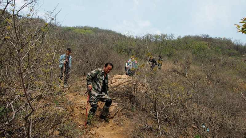 普集户外2020.04.18出行鹤伴山顺利归来 364.jpg