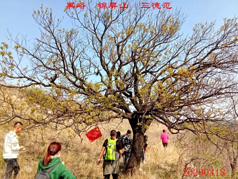 微信图片_20200420095414.jpg