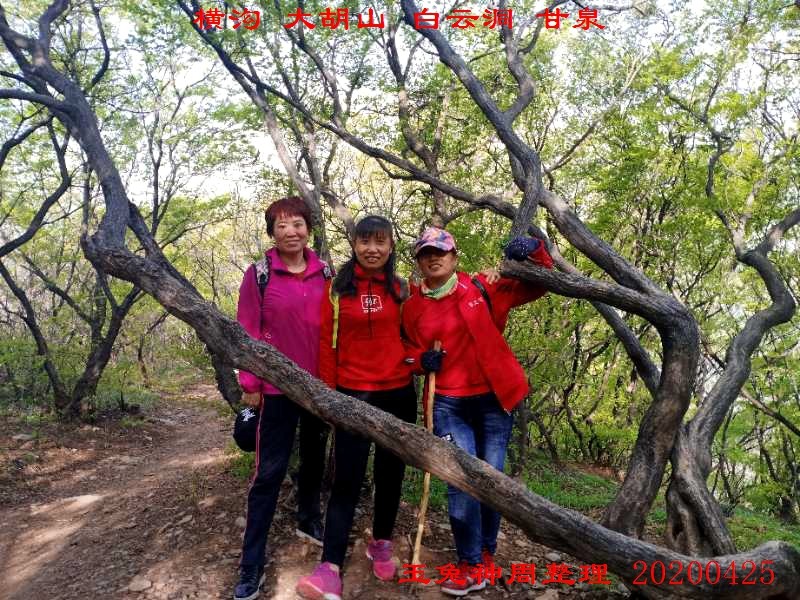 微信图片_20200425184509.jpg