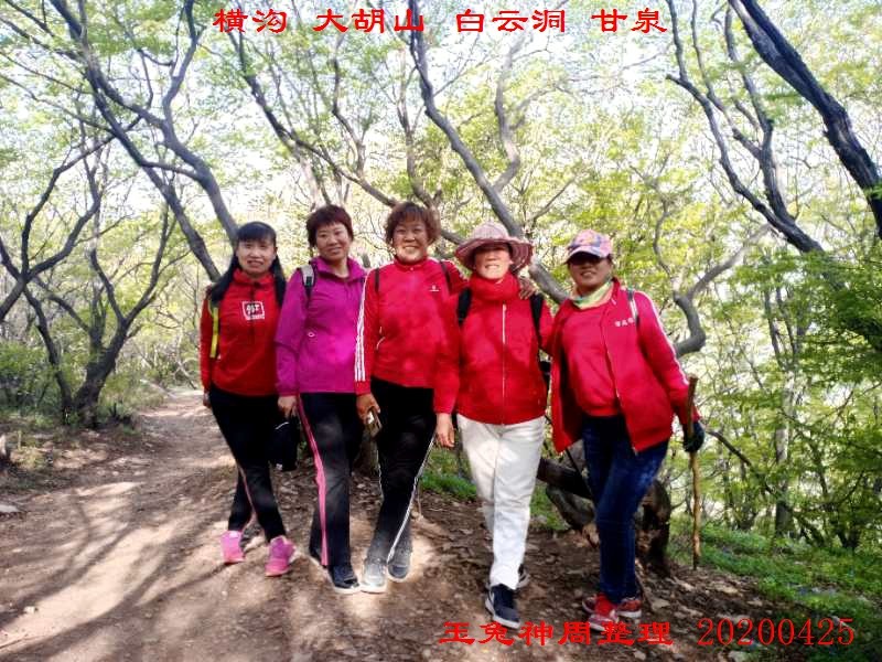 微信图片_20200425184532.jpg