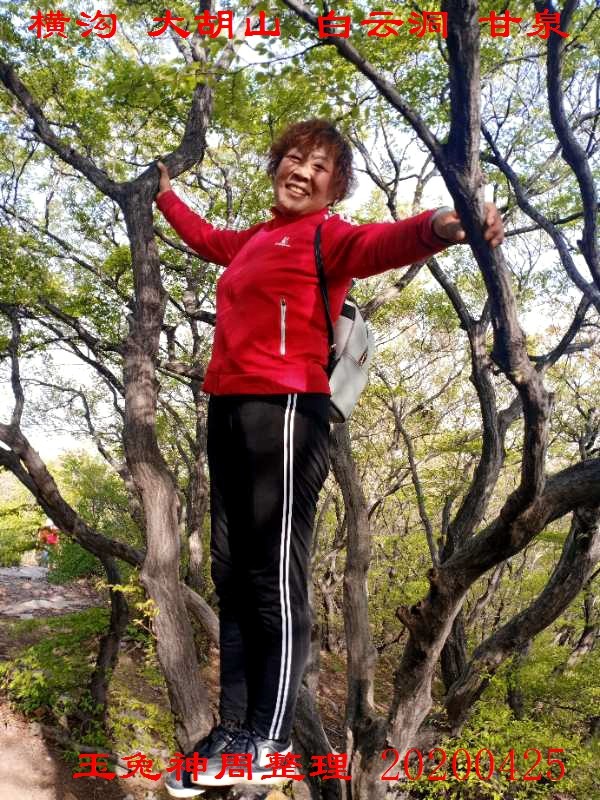 微信图片_20200425184536.jpg