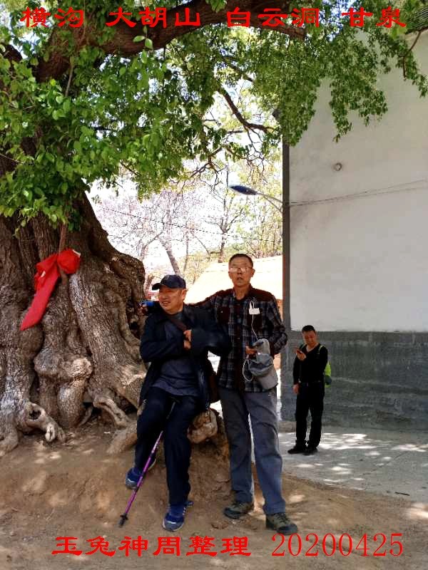 微信图片_20200425184705.jpg