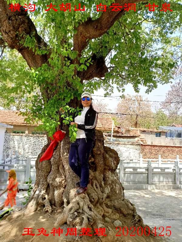 微信图片_20200425184717.jpg