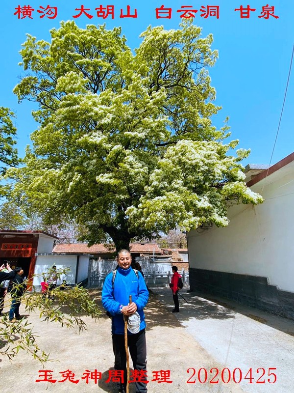 微信图片_20200425184826.jpg