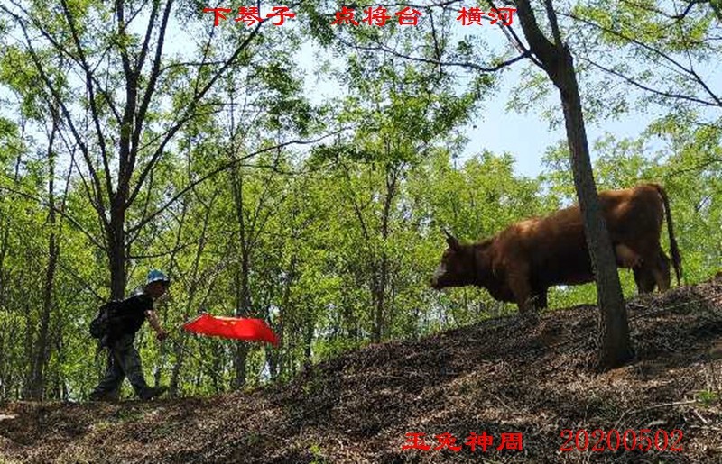 微信图片_20200503145957.jpg
