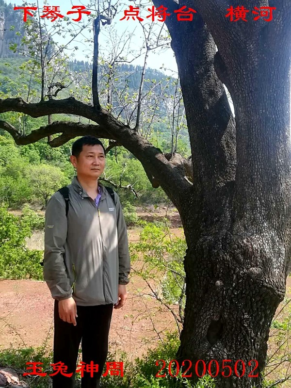 微信图片_20200503150317.jpg