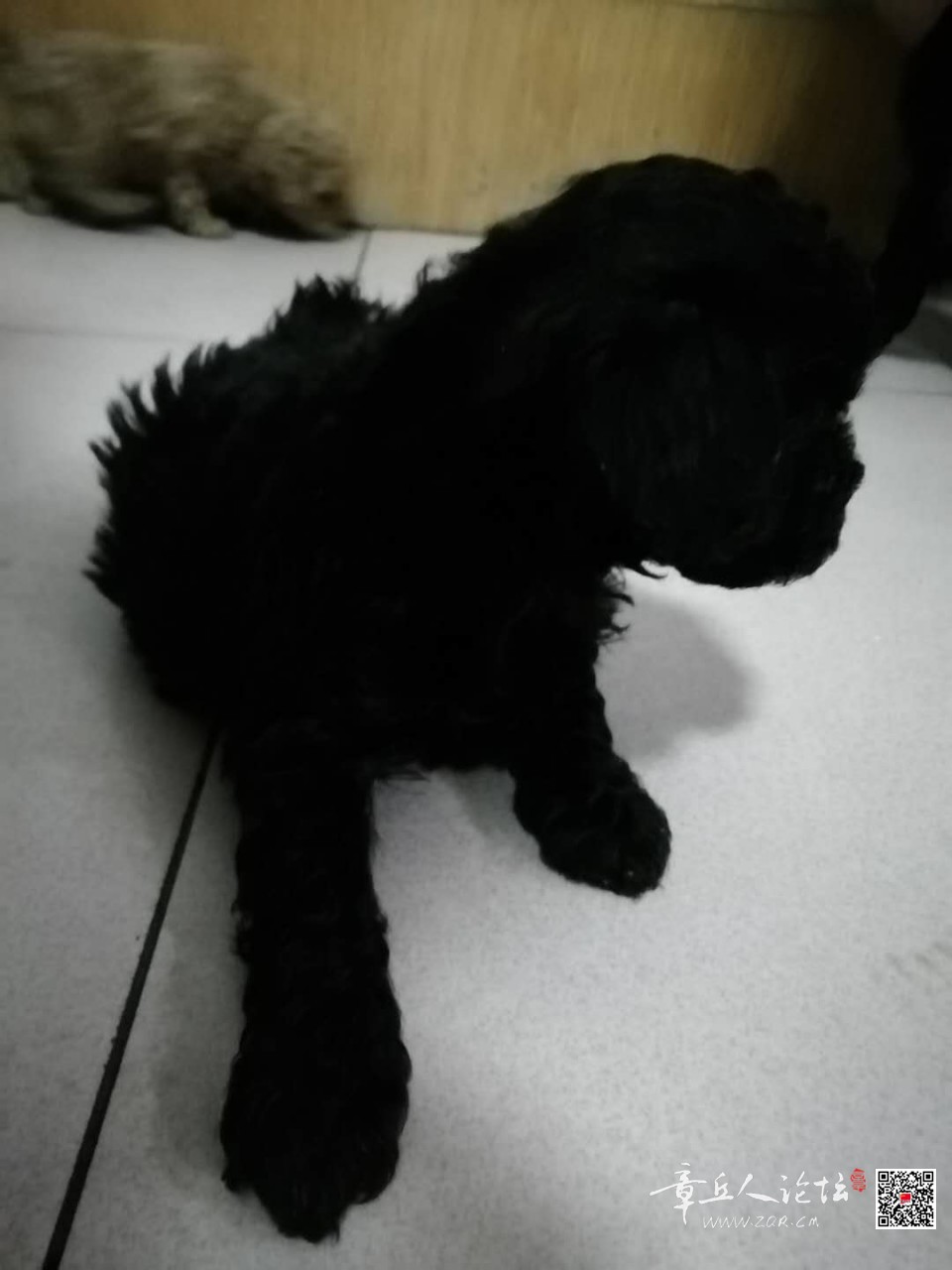 微信图片_20200512191910.jpg