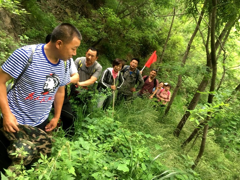 微信图片_20200530200257.jpg