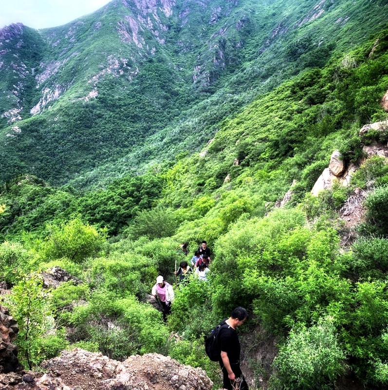 微信图片_20200530200418.jpg