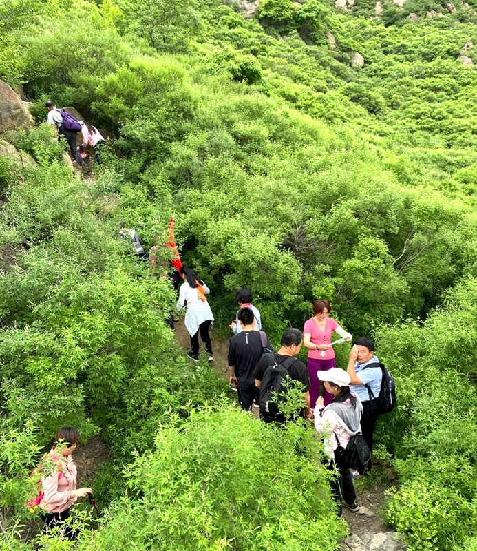 微信图片_20200530200422.jpg