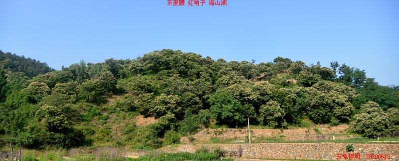 照片 026.jpg