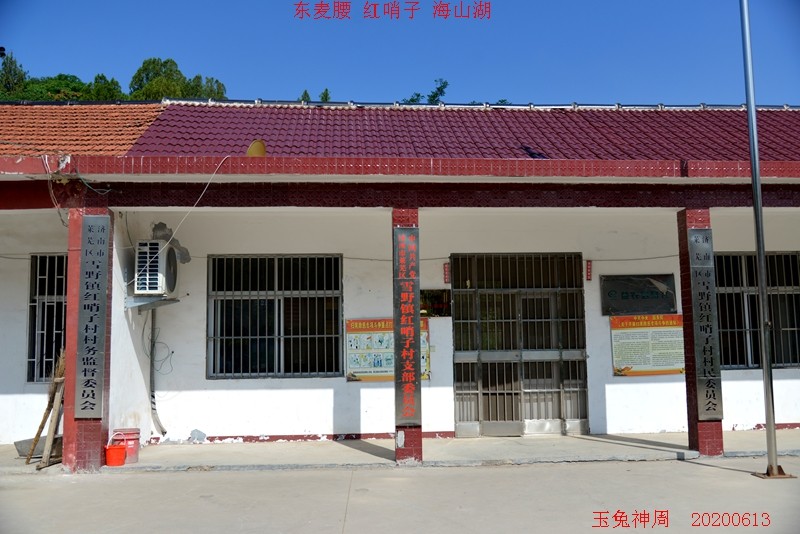 照片 087.jpg
