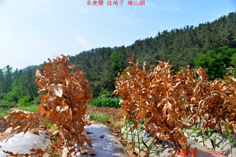 照片 178.jpg