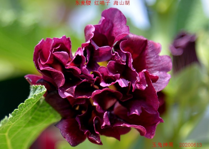 照片 234.jpg