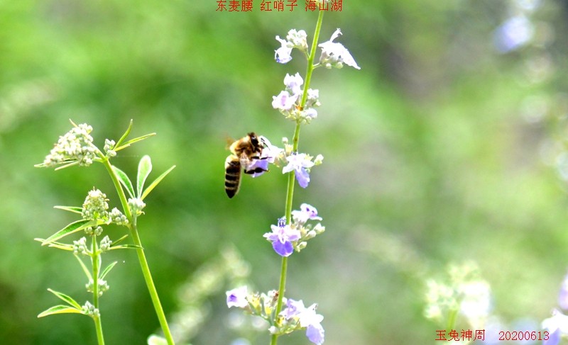 照片 239.jpg