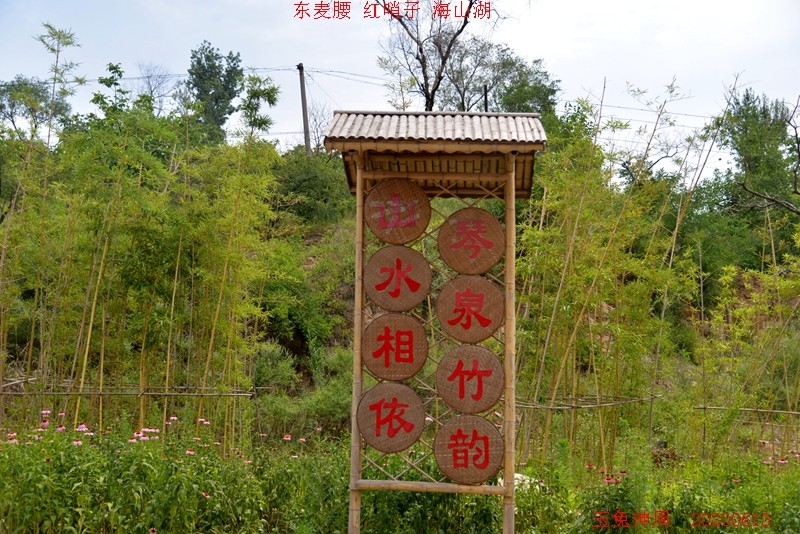照片 247.jpg