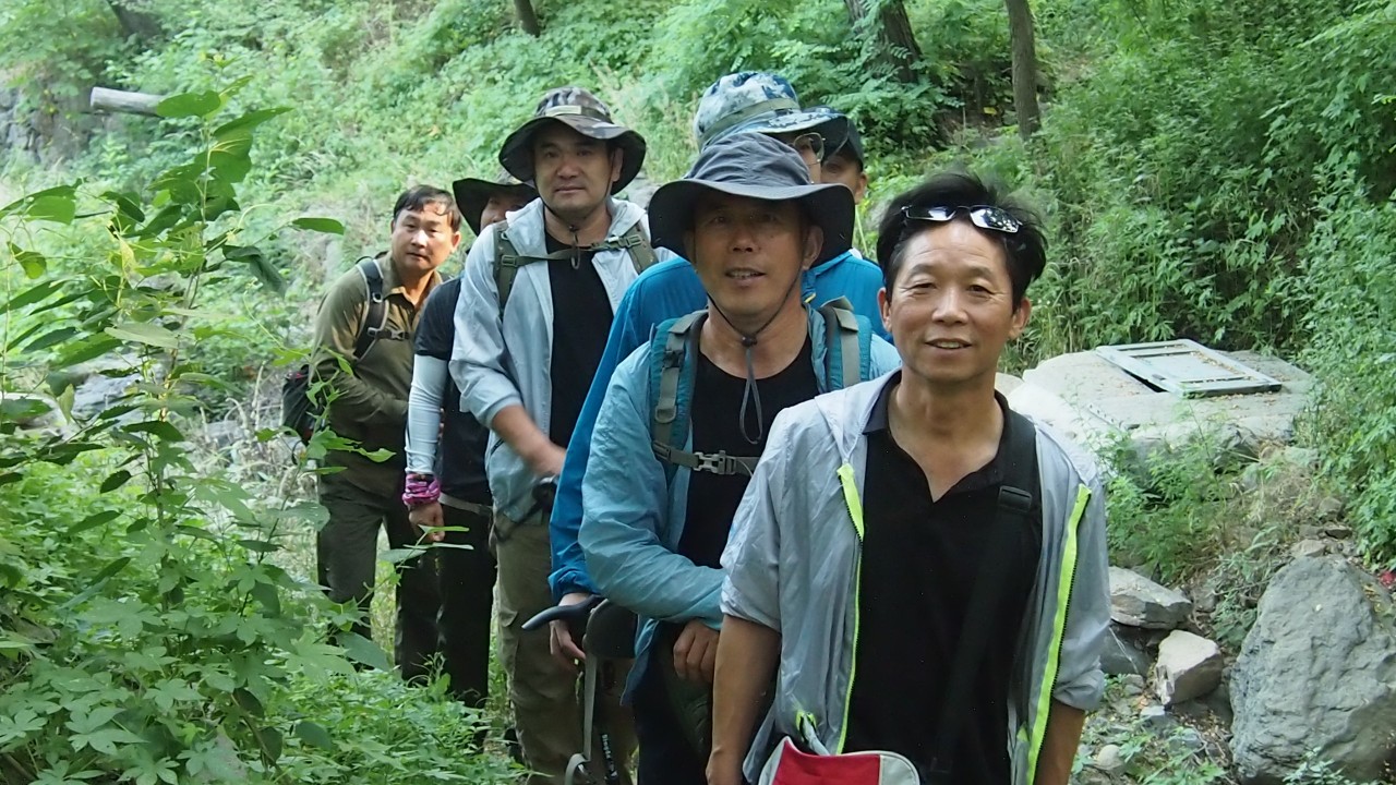 普集户外AA出行鹤伴山（八柱台-鹤伴山-八柱台）顺利归来2020.6.14 029.jpg