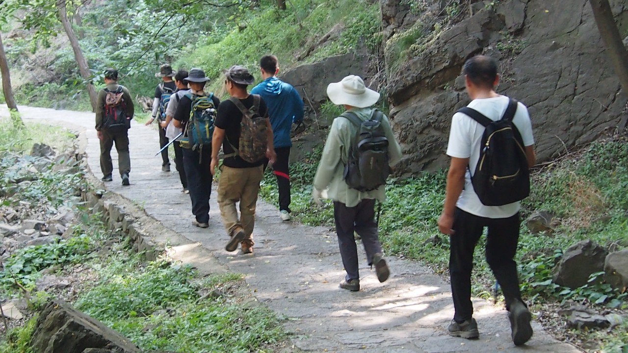 普集户外AA出行鹤伴山（八柱台-鹤伴山-八柱台）顺利归来2020.6.14 070.jpg