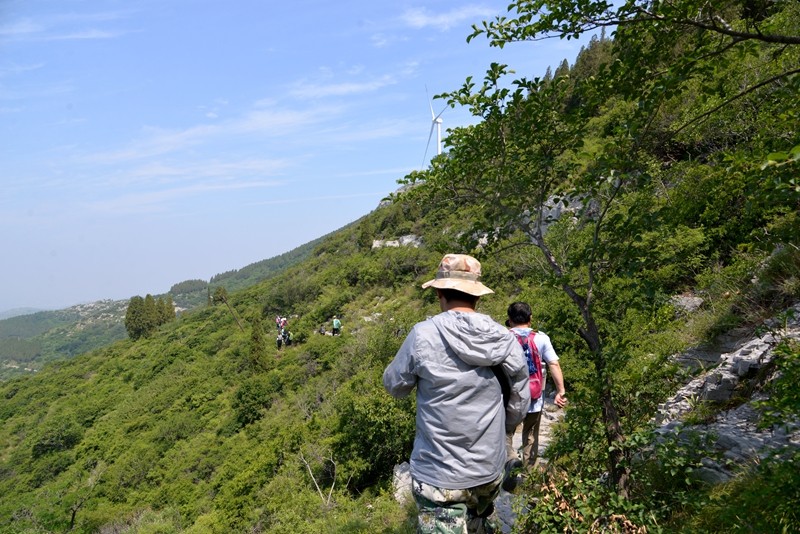 照片 454.jpg