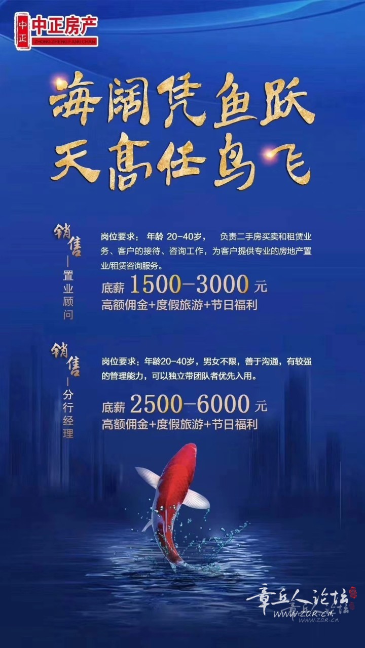 159364873491224_200.jpg
