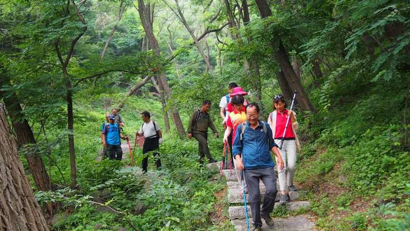 普集户外2020.07.05八柱台-鹤伴山-八柱顺利归来 061.jpg