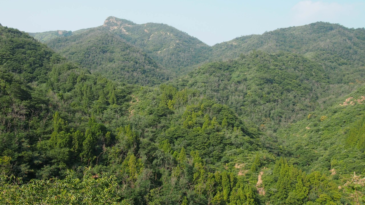 普集户外2020.8.1日出行八柱台-鹤伴山-八柱台顺利归来 036.jpg