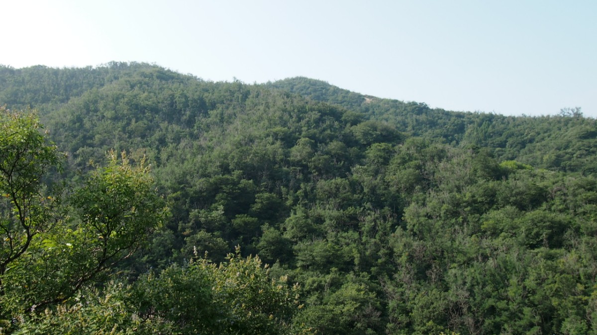 普集户外2020.8.1日出行八柱台-鹤伴山-八柱台顺利归来 037.jpg