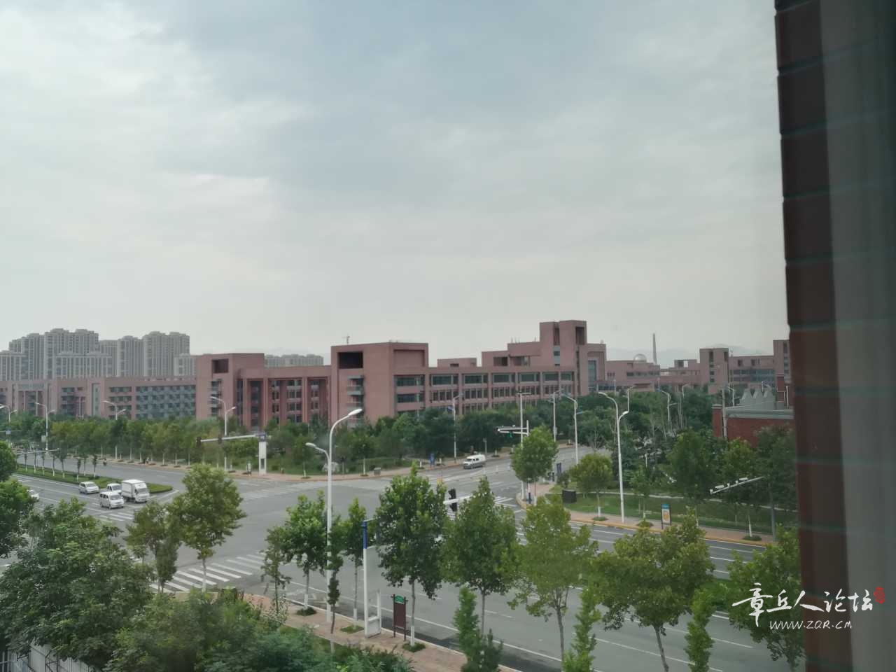 IMG_20190826_102015.jpg