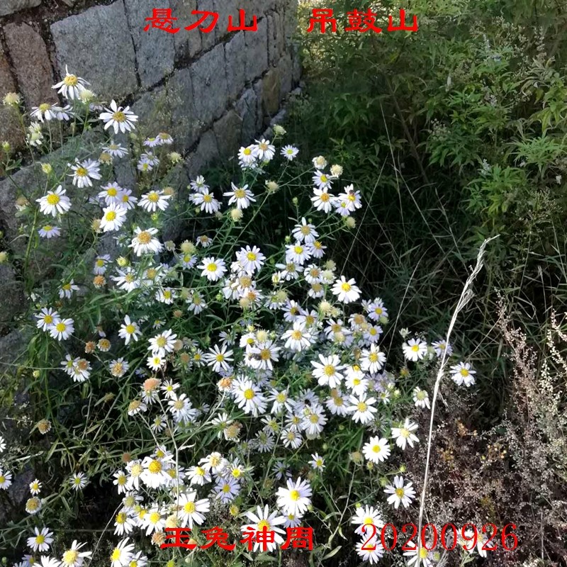 微信图片_20200930103512.jpg