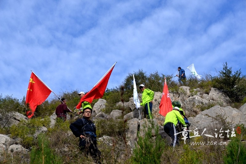 DSC_1323.jpg