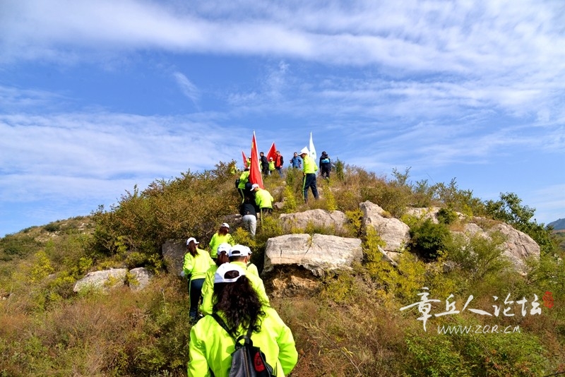 DSC_1347.jpg