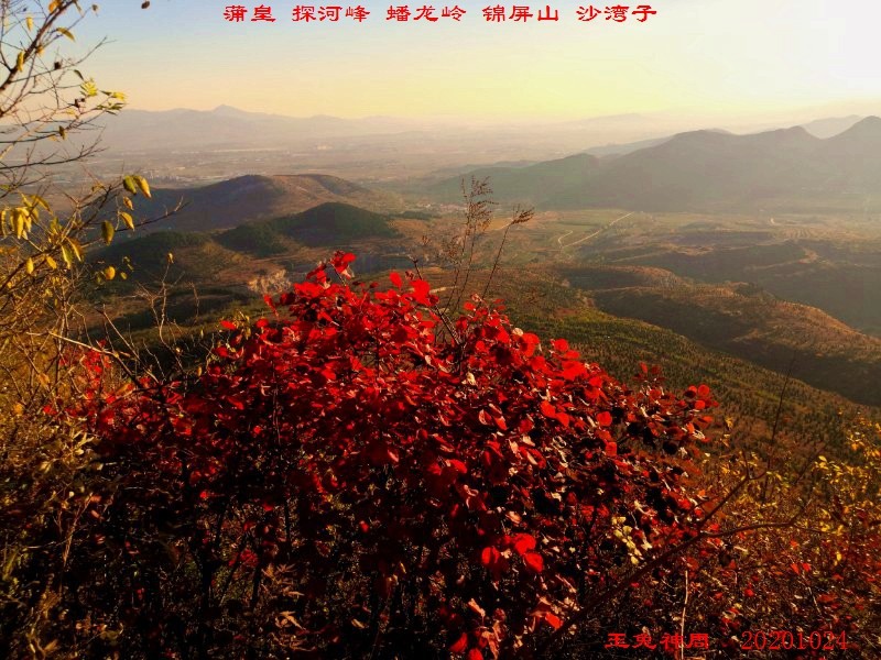 微信图片_20201026105036.jpg
