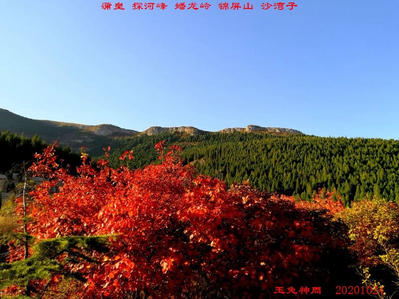 微信图片_20201026105048.jpg