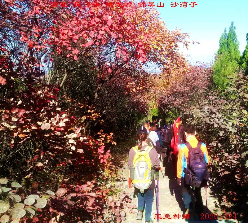 微信图片_20201026105101.jpg