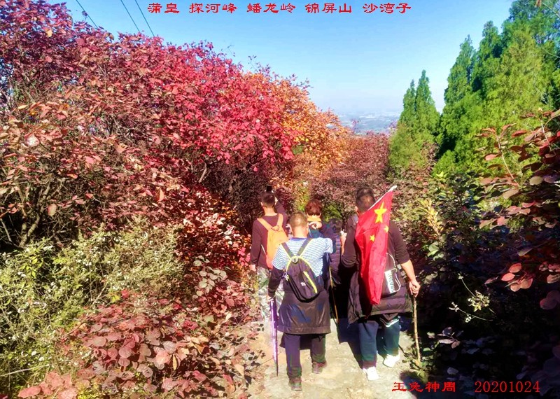 微信图片_20201026105105.jpg