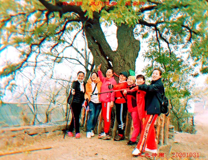 微信图片_20201102100218.jpg