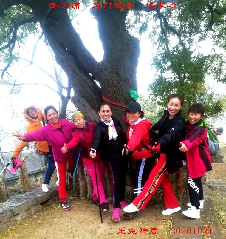 微信图片_20201102100301.jpg