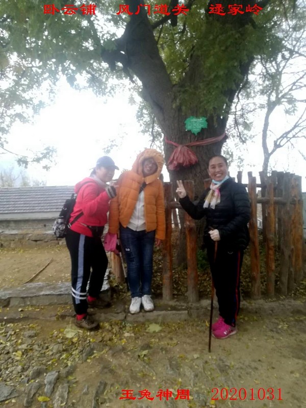微信图片_20201102100333.jpg