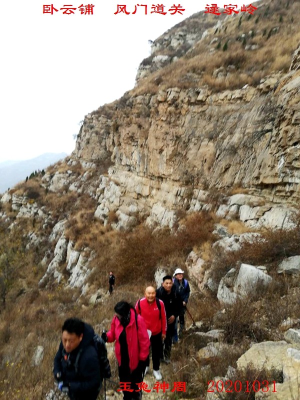 微信图片_20201102100420.jpg