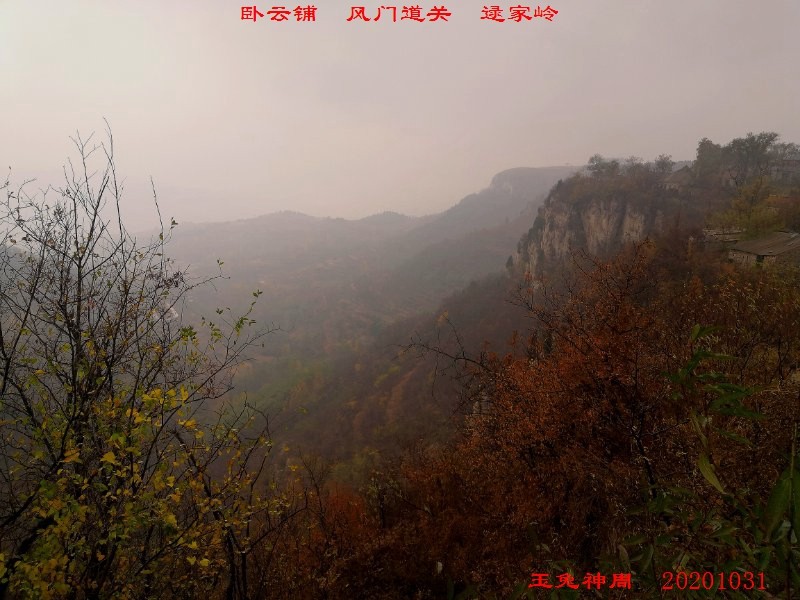 微信图片_20201102100534.jpg