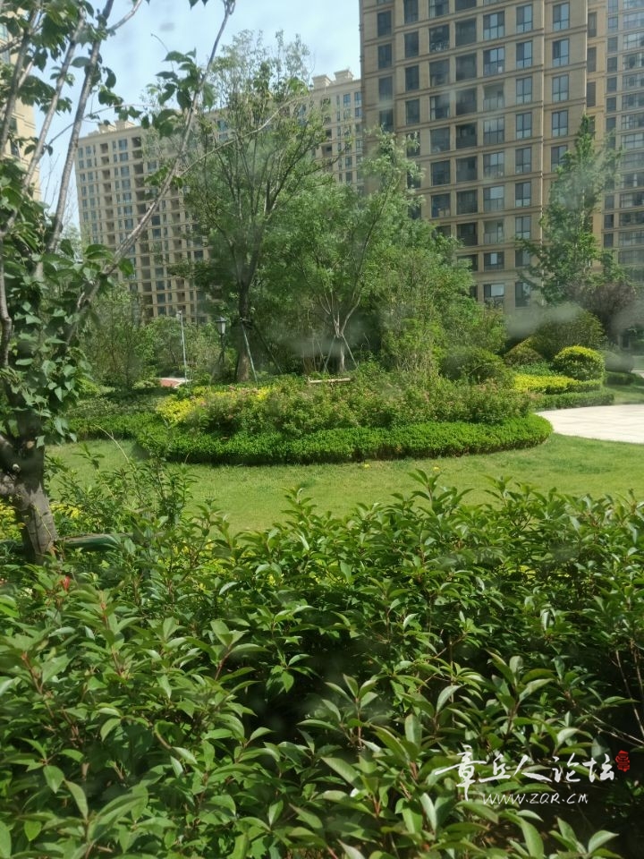 QQ图片20180528090651.jpg