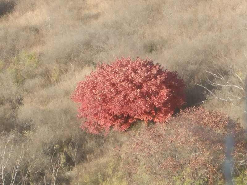 普集户外2020.11.7出行大胡山 034.jpg