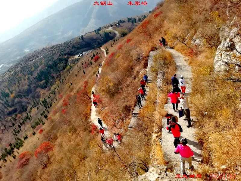 微信图片_20201108103935.jpg