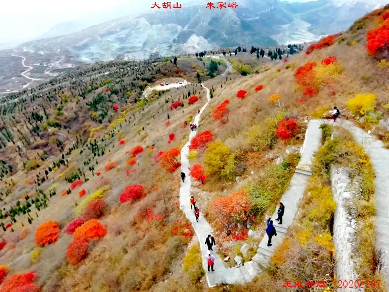 微信图片_20201108103939.jpg
