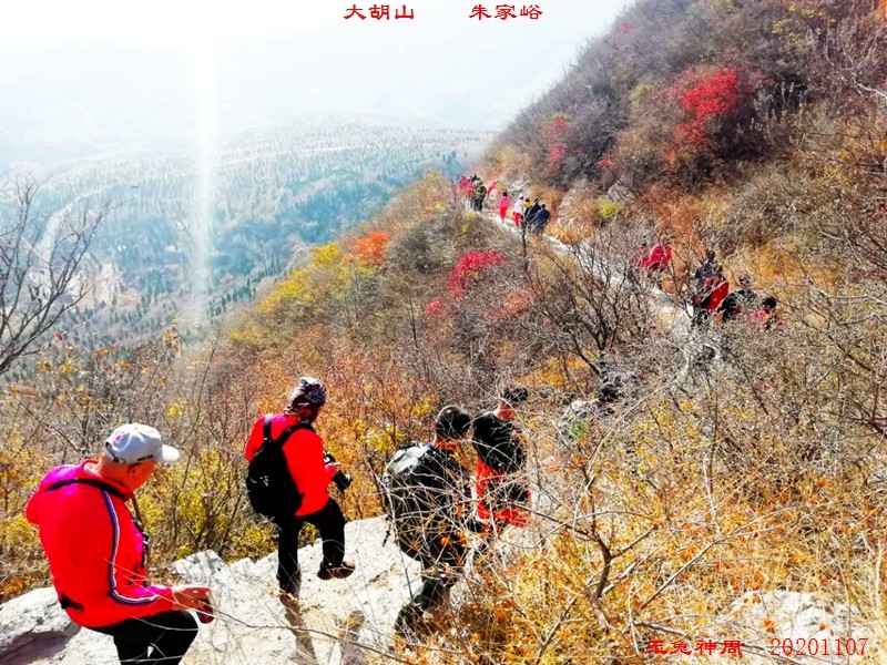 微信图片_20201108104702.jpg