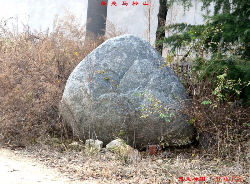 照片 061.jpg