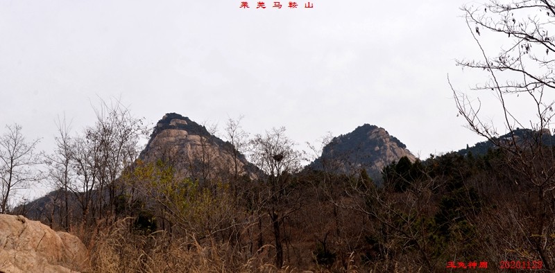 照片 528.jpg
