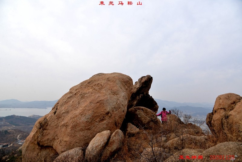 照片 546.jpg