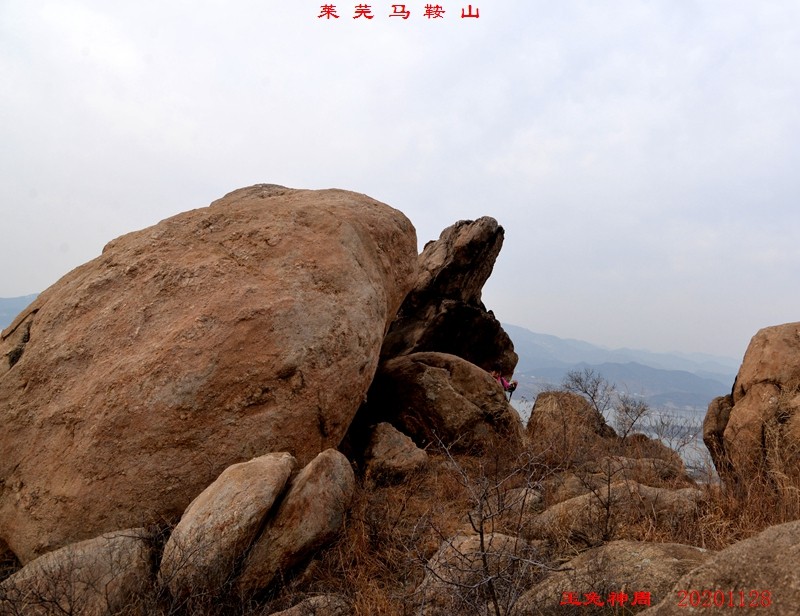 照片 545.jpg