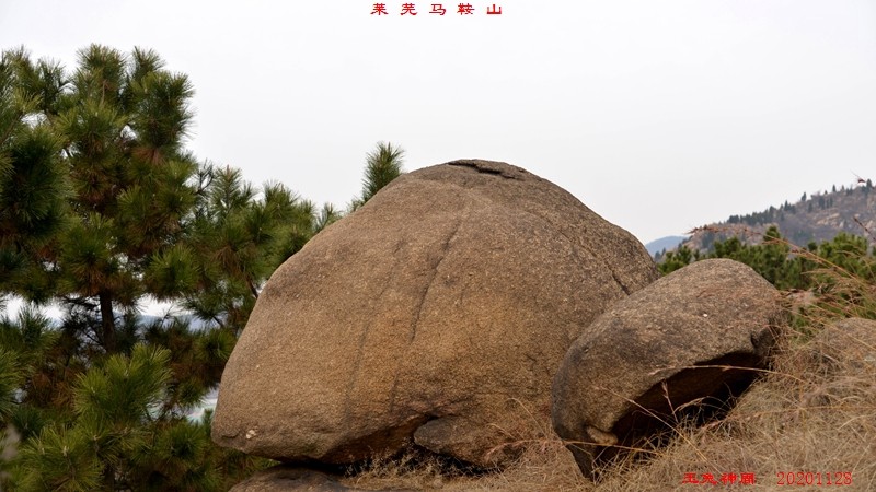 照片 584.jpg